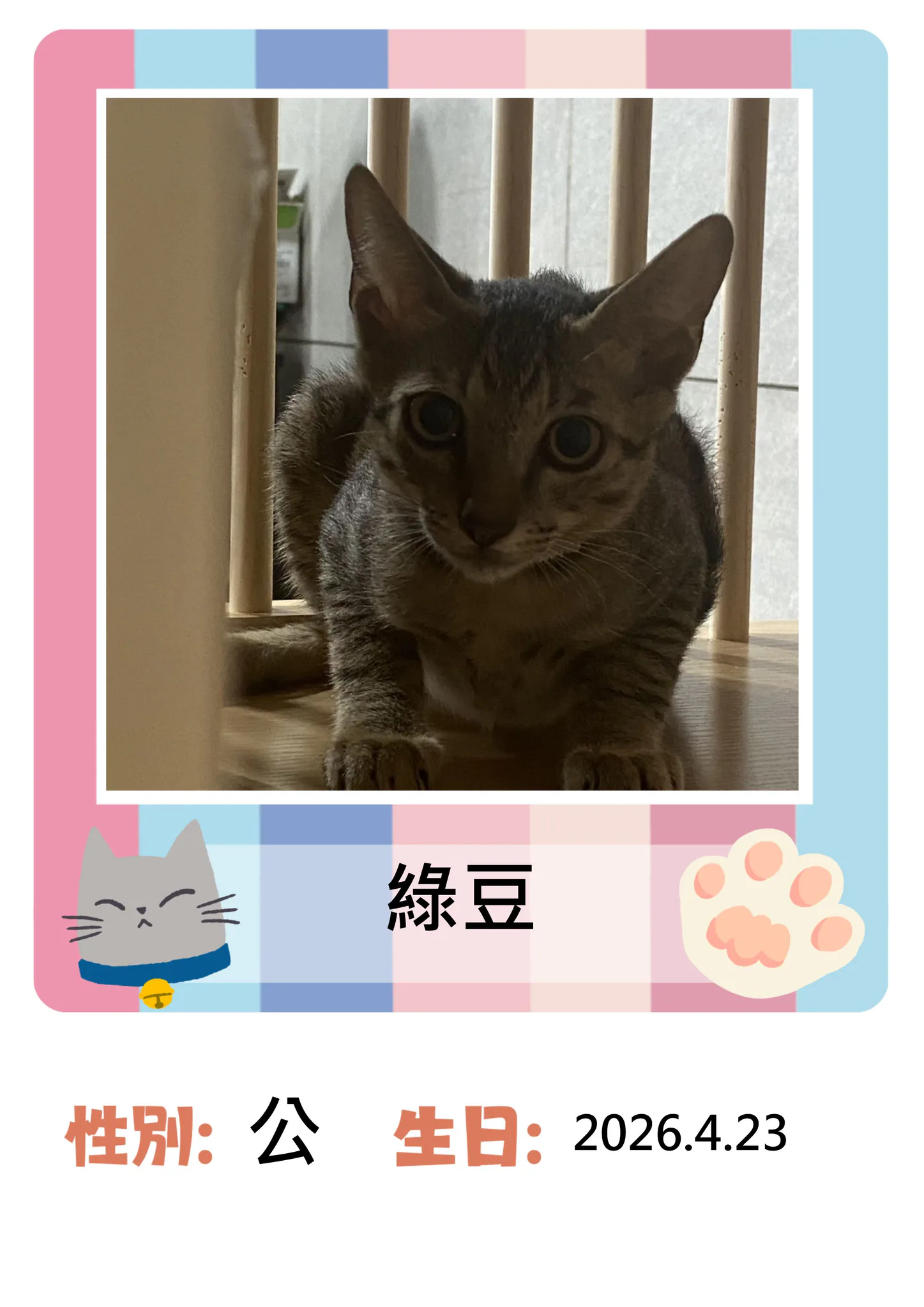 imelJiizypfsd1Y9-1