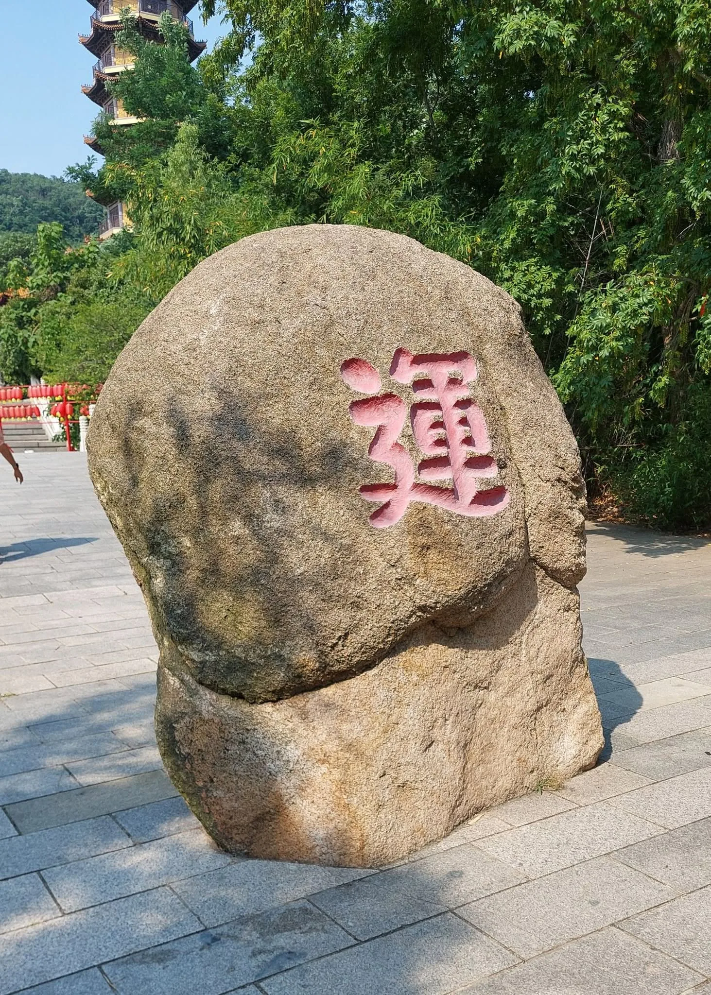 746430260_1638490251610425_2749286167295991166_n