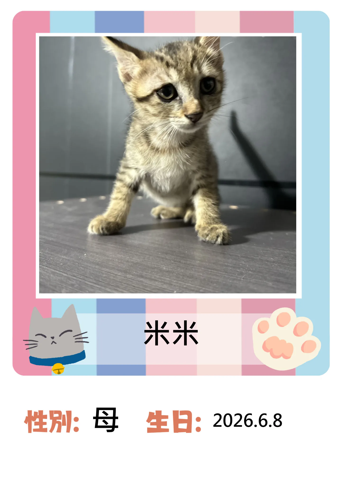 CFXIKmwMyly74Q6x-1