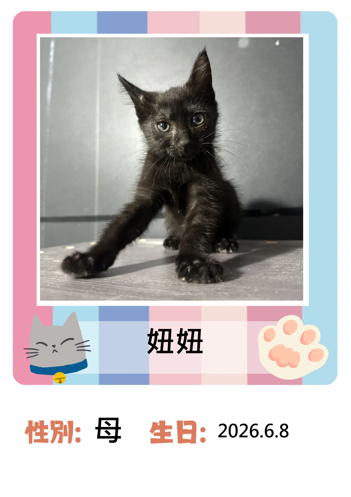 q8UIJHtvMGEiMUoY-1